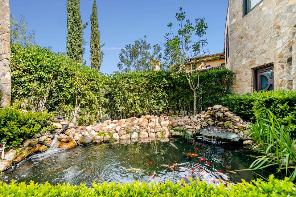 Koi pond at entry