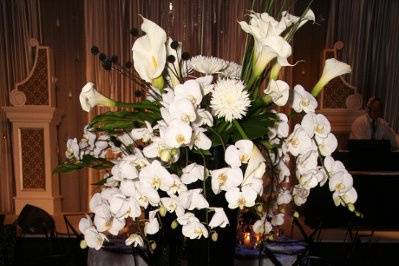 Black and White Table tops