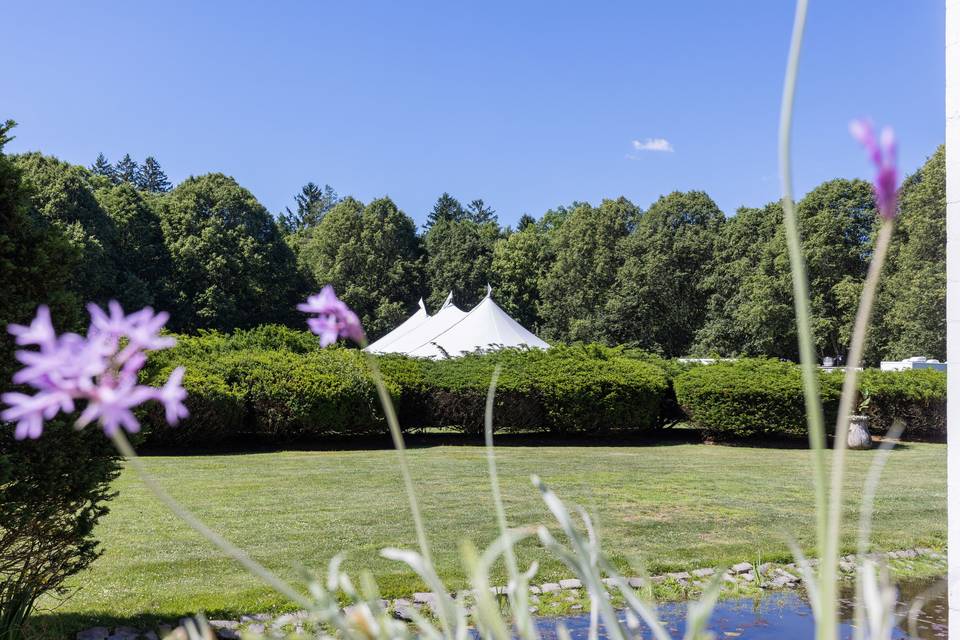 Sailcloth Tent