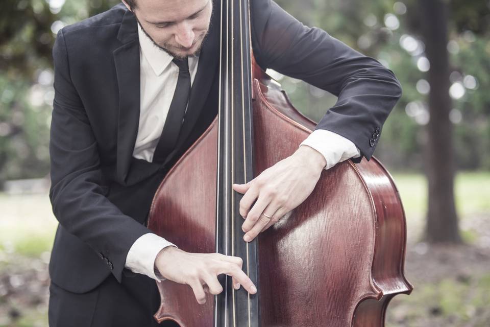 Jazz double bass player