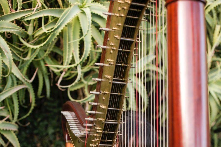 Classical harpist performing at Hotel Splendido in Portofino