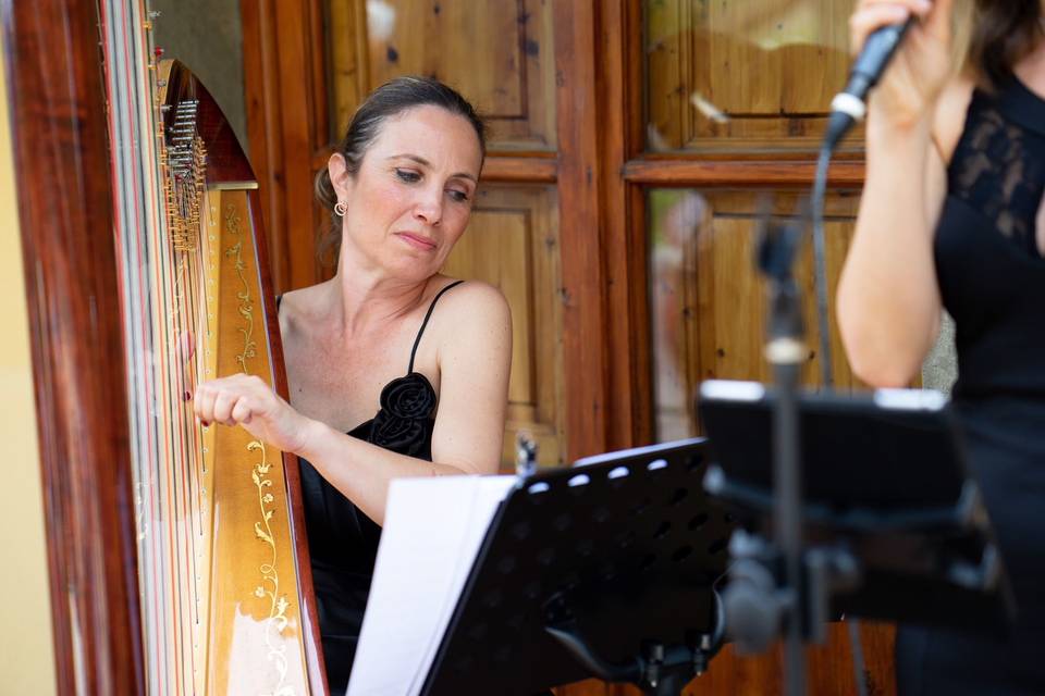 Harpist and performing during a wedding cocktail in Florence, Italy