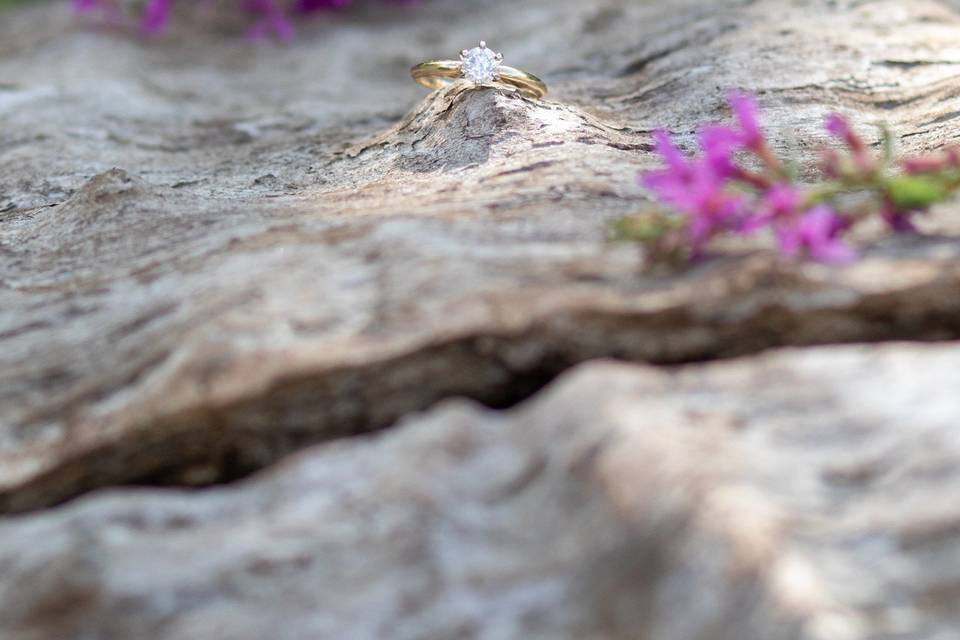 Wedding ring on bark