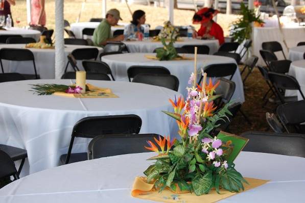 tABLE SETUP