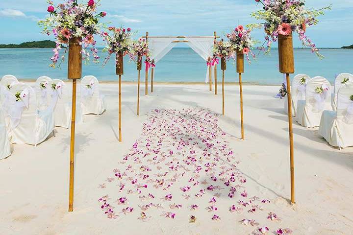 Beach Wedding