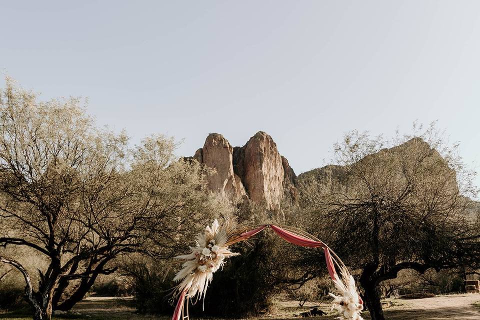 Gold Circle Boho Arch