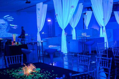 Table setup