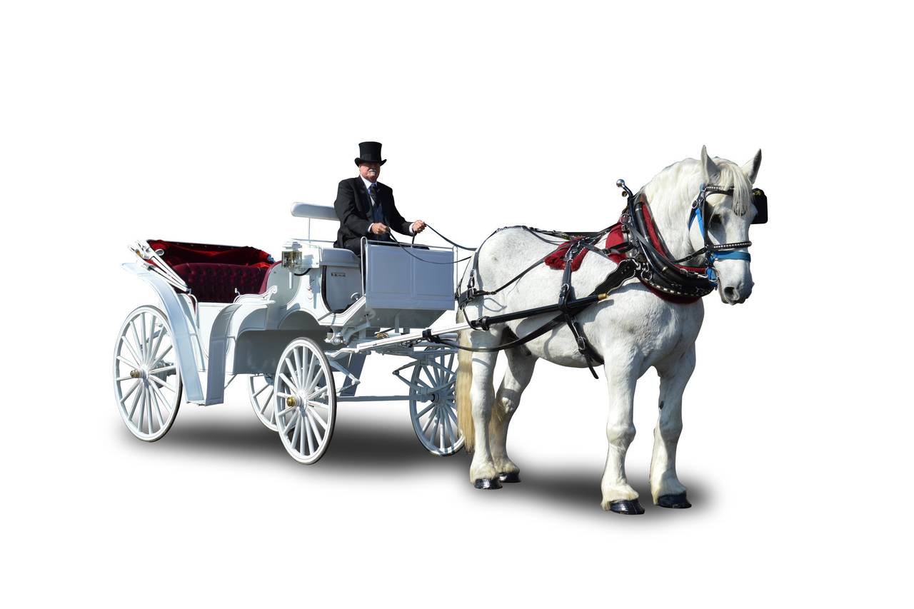 Horse Drawn Carriages & Hearse of Texas LLC - Transportation