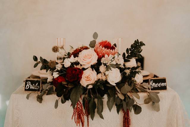 Tiani Shaye Photography