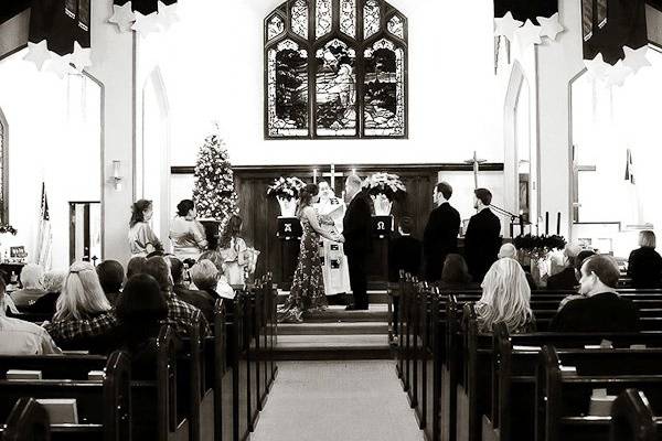 Teri Lynn Photography