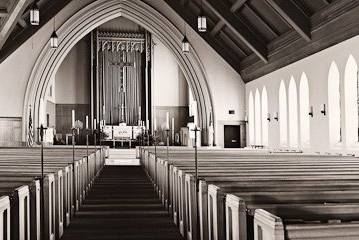 Teri Lynn Photography