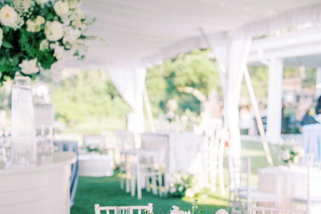 Stephanie Shaul Events