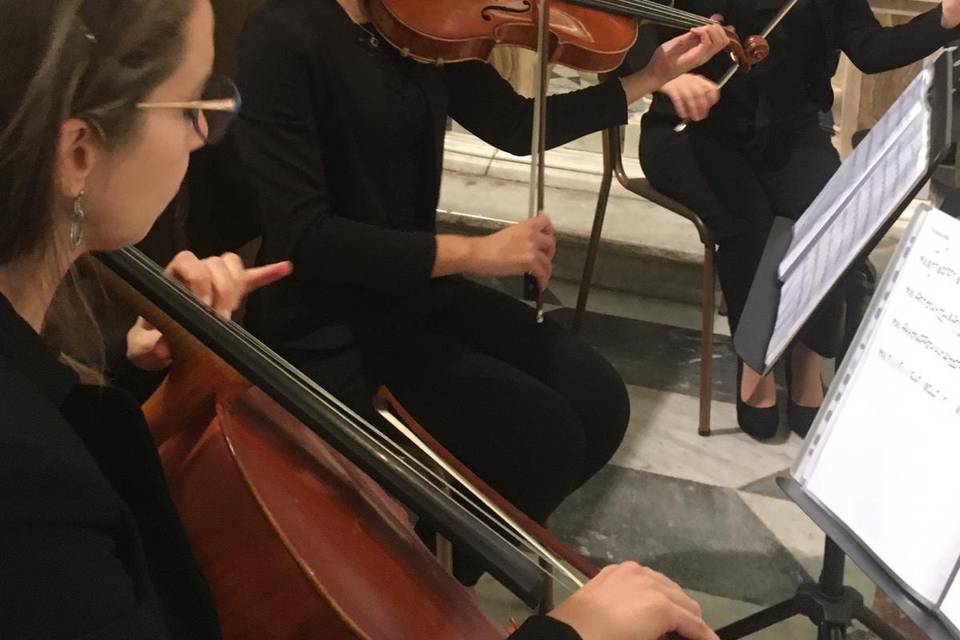 Giulia Ermirio Violist