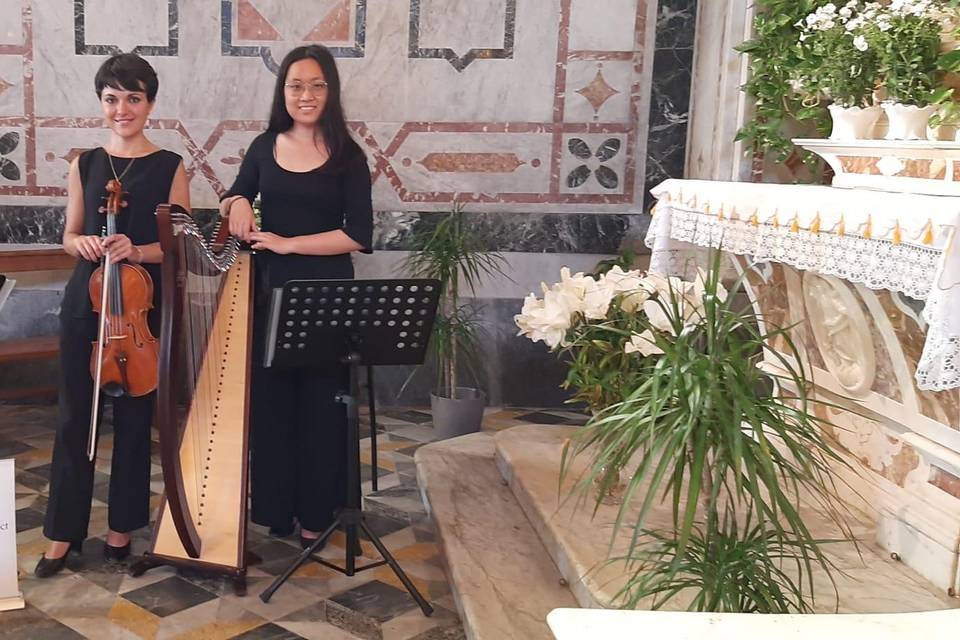 Viola and Celtic Harp