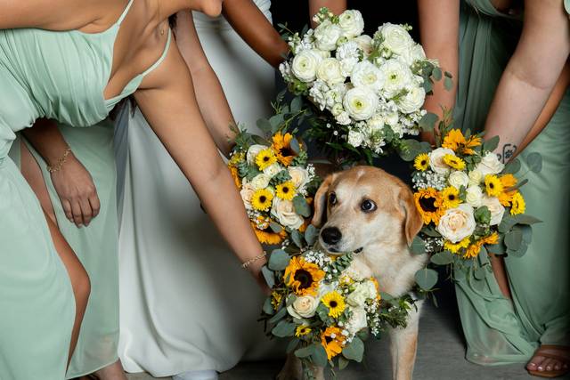 Wedding couple