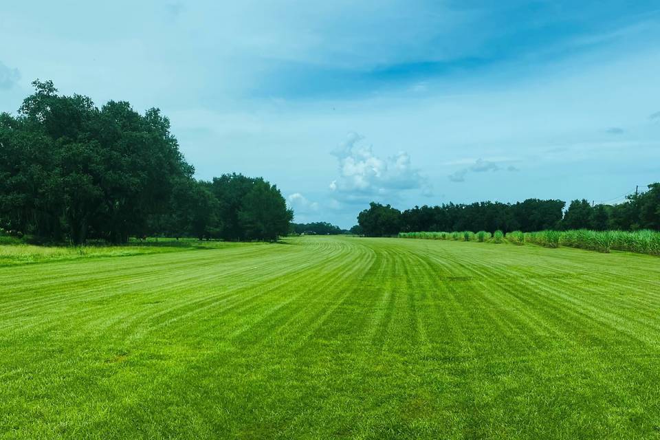 Grass Landing Strip