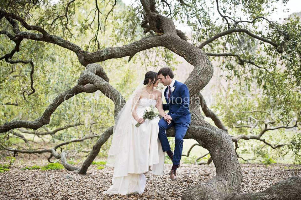 Chantilly Lace Photo + Video