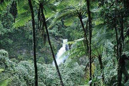 Taveuni - the 'Garden Island' of Fiji