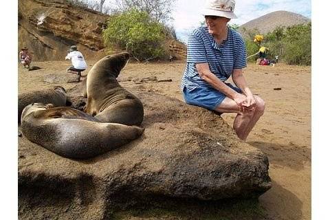 Galapagos Islands adult sealions