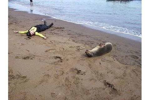 Galapagos Islands adults and the wild at play