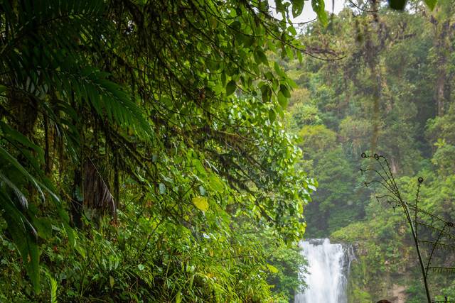 Love Waterfall