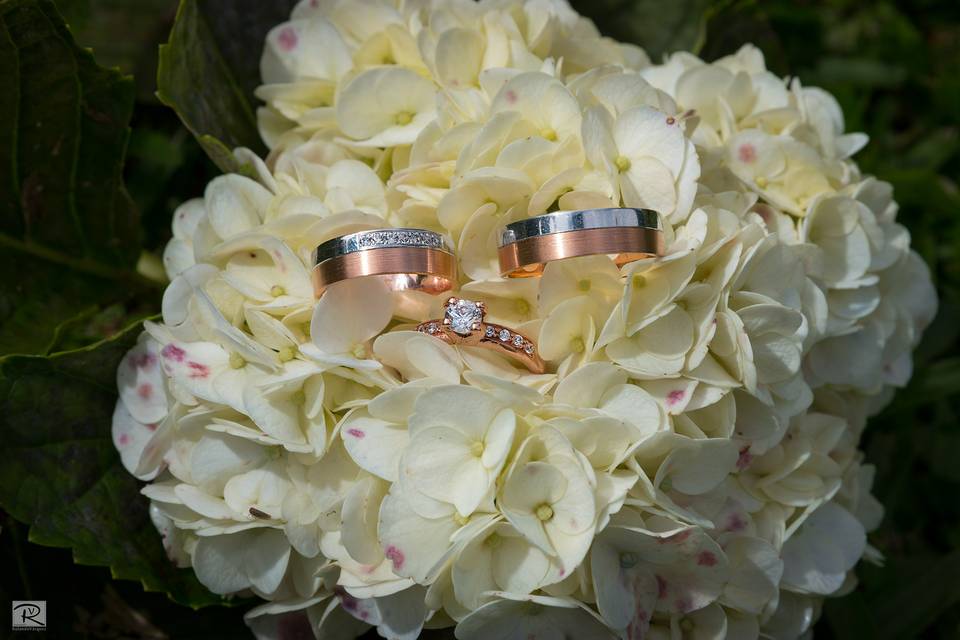 Wedding rings