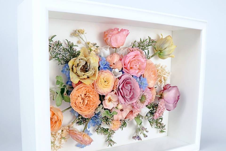 Shadow Box