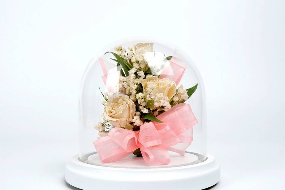 Glass Dome