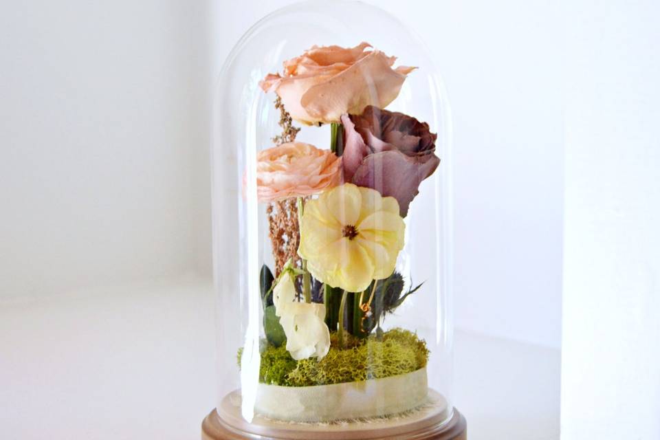 Glass Dome