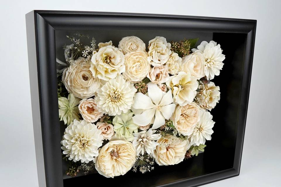 Shadow Box
