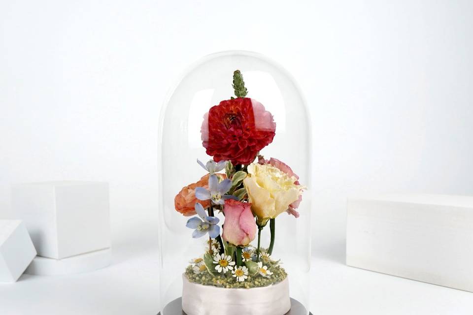Glass Dome