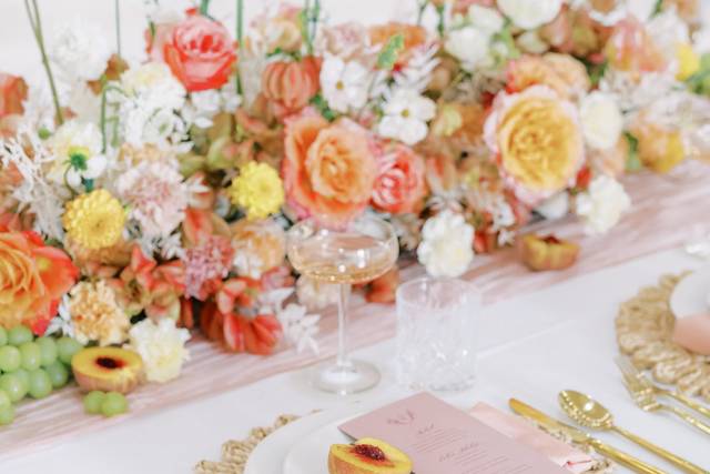Stephanie Lanni Photography
