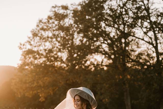 Missouri wedding