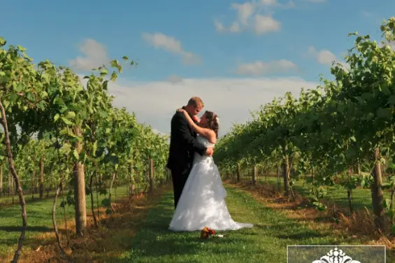 Pedretti's Party Barn Wedding, Wisconsin Photographer » Brittany Eitsert  Photography