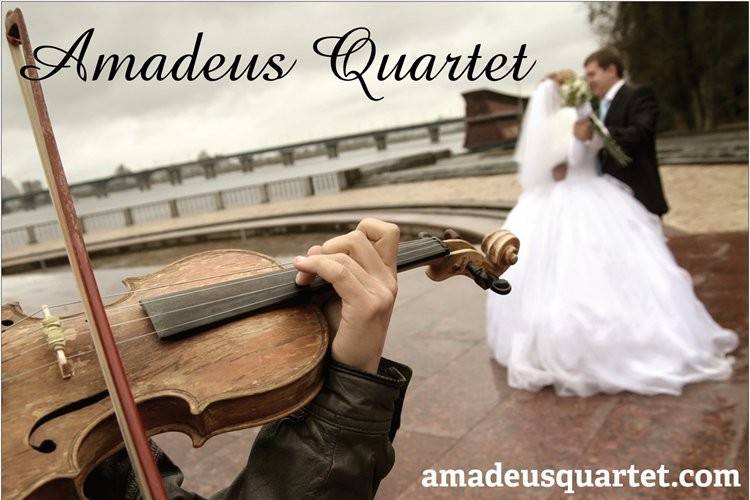 Amadeus Quartet