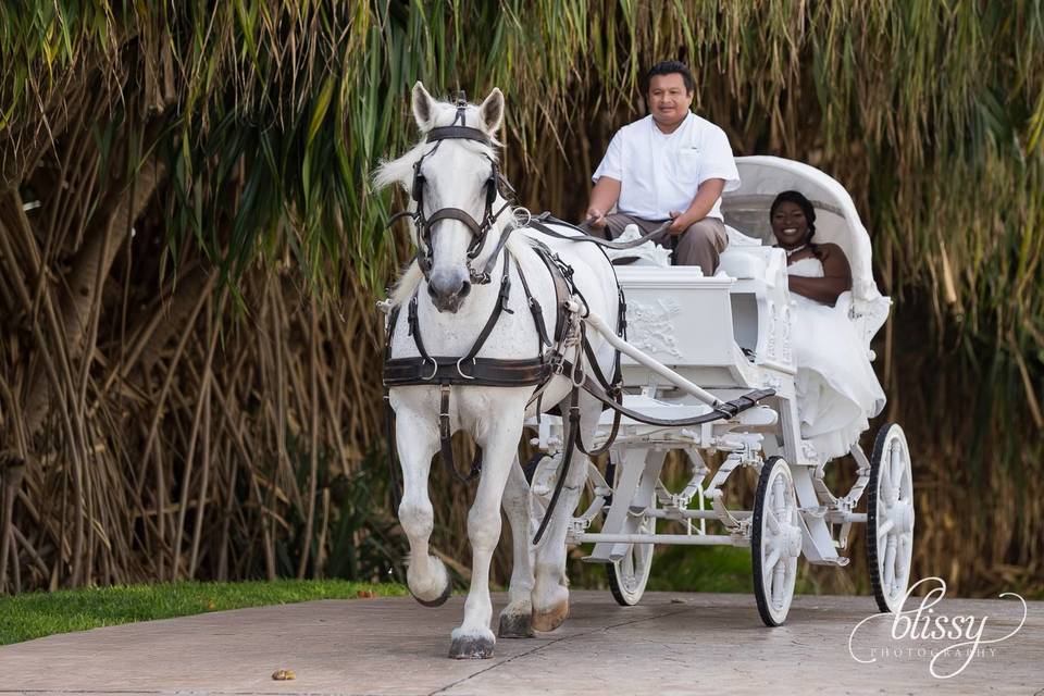 The couple riding a carriage