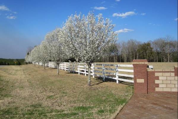 Squires' Farm Weddings and Events