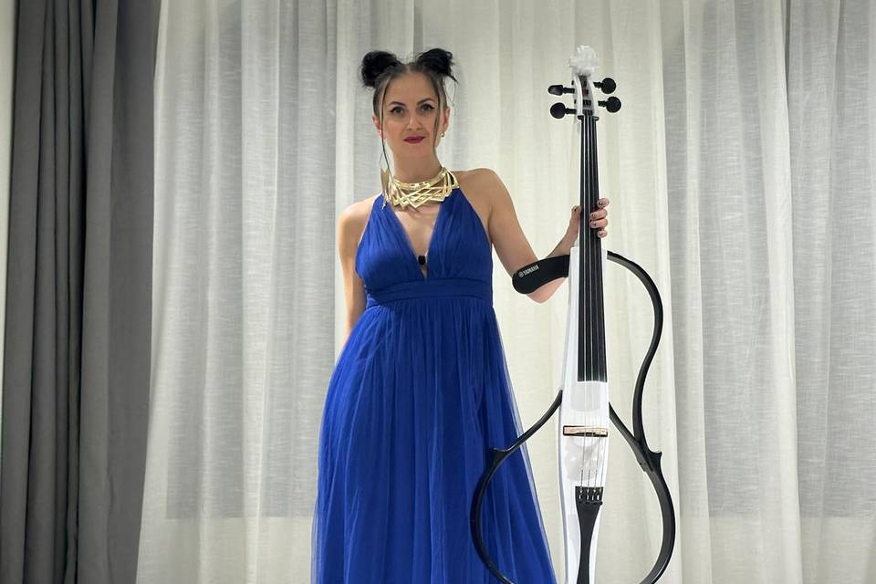 Concert Cellist