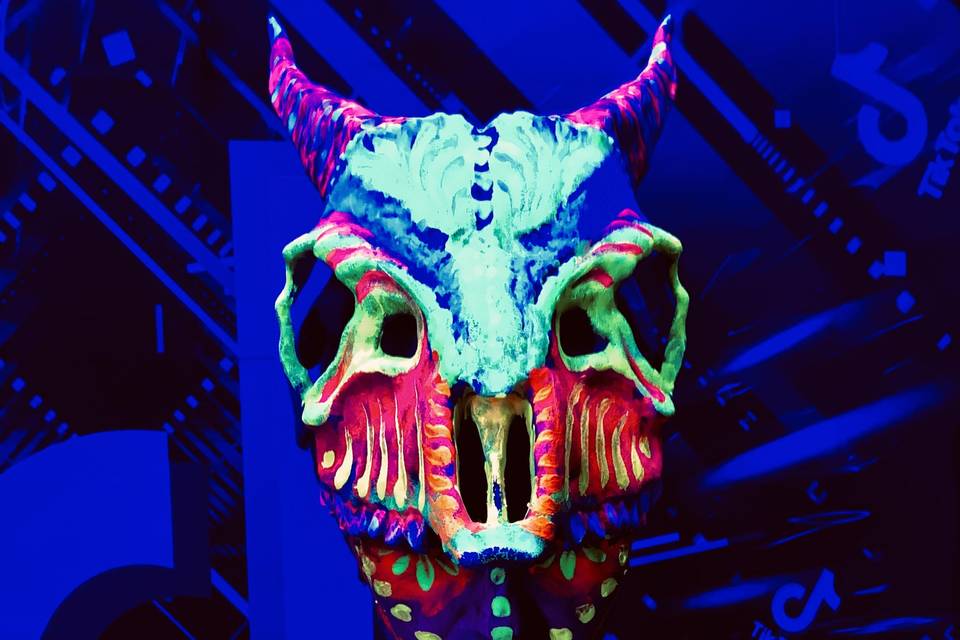 Neon LED Show