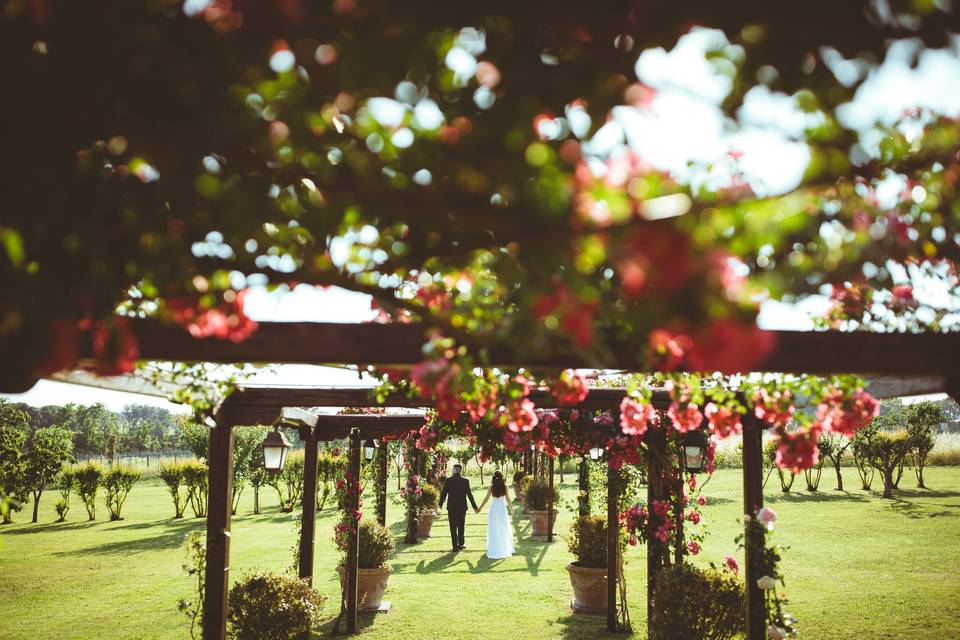 Fotografo Matrimonio Roma