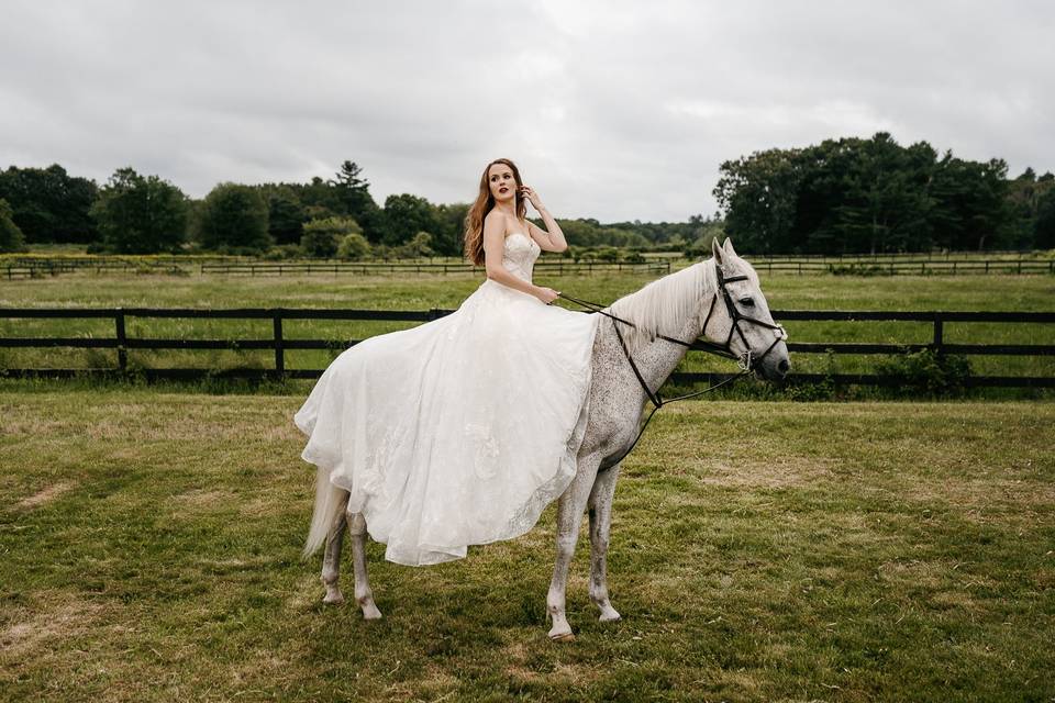 Horse