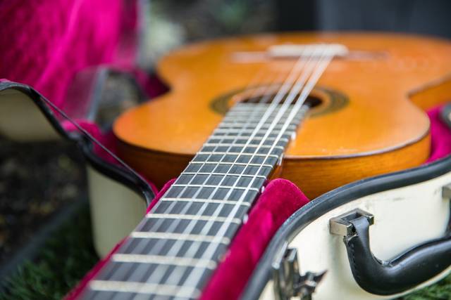 Brandon Mendez Guitar