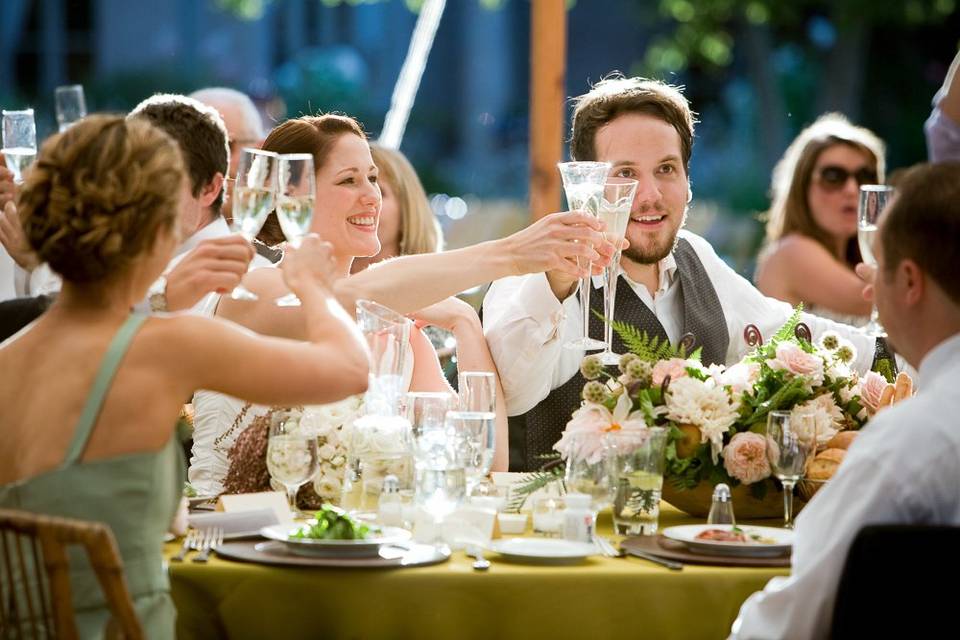 The wedding party toasting