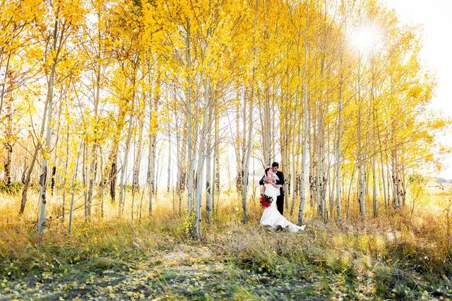 Ashley McKenzie Photography