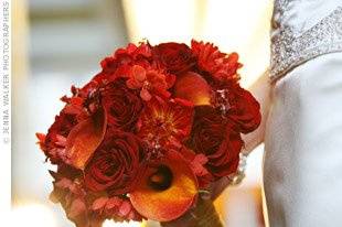 Perfect Designs