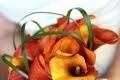 Perfect Designs