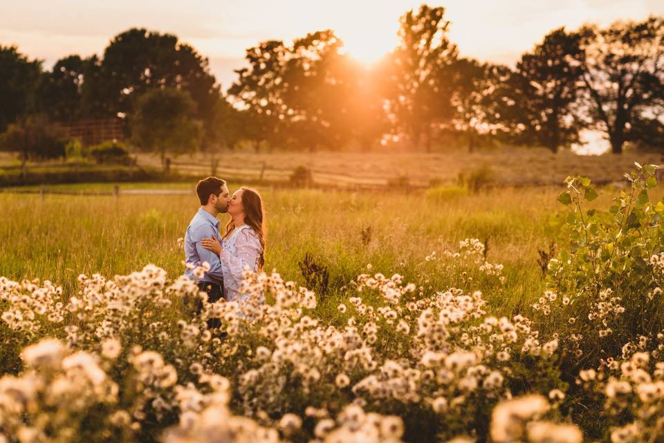 Buffalo Wedding