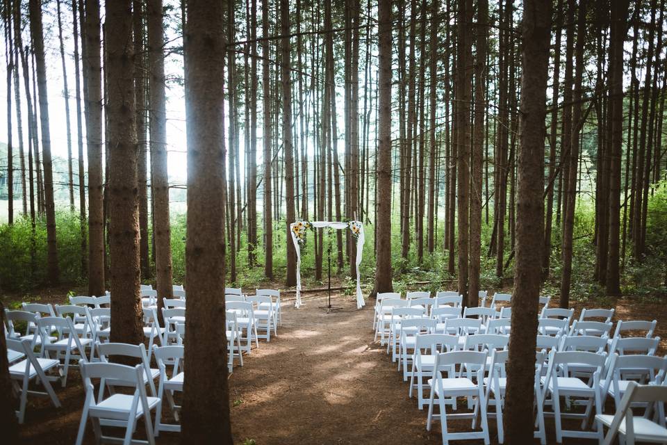Ceremony in Pines