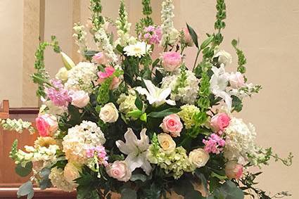 Vibrant Flowers