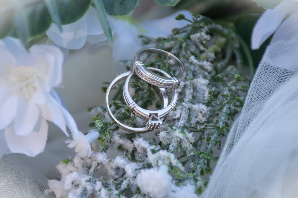 The Rings